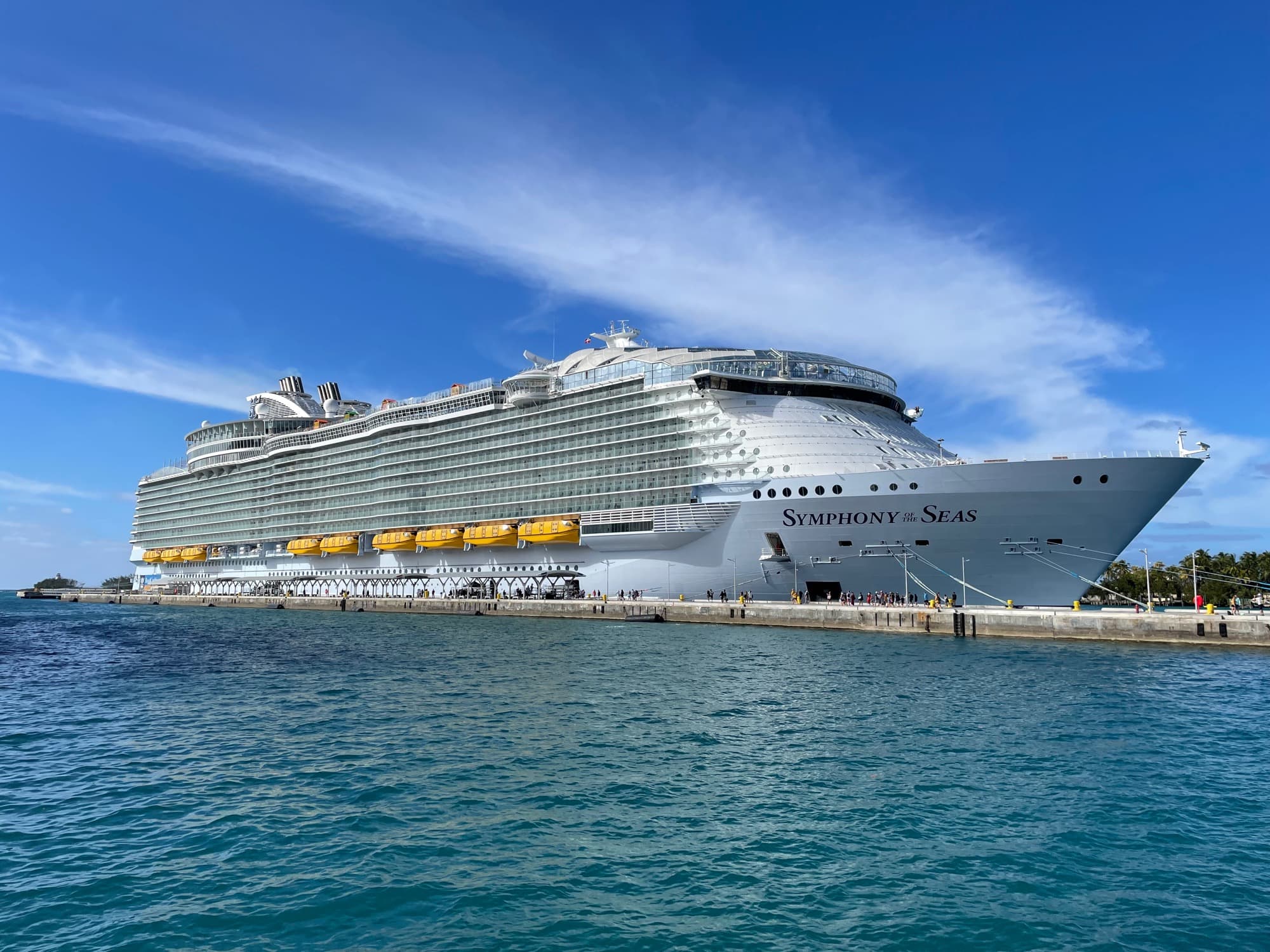 A cruise ship docked in a tropical port